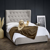 LPD Furniture Belgravia Cappuccino Ottoman Bed-Better Bed Company 