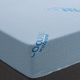 Visco Therapy Water Proof Flex Mattress